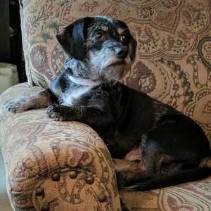 Meet your Posher, Cody